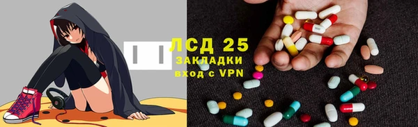 ПСИЛОЦИБИНОВЫЕ ГРИБЫ Арсеньев