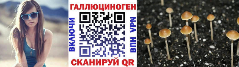 Галлюциногенные грибы Cubensis  Купить закладки  Лебедянь 